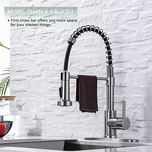 Pull Down Kitchen Faucet (Stainless Steel)