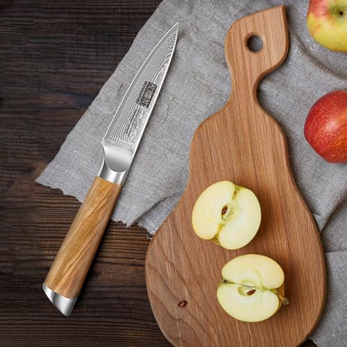 Damascus Paring Knife 3.75" (3.75 inch Paring Knife)