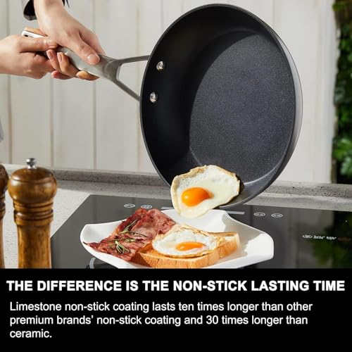 9.5 Inch Nonstick Frying pan with Lid (9.5-Inch)