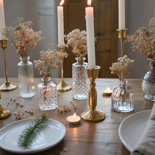 Glass Bud Vase Set of 12 Pcs Small Minimalist Vases for Flowers (Clear)