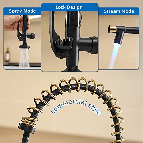 LED Kitchen Faucet with Pull Down Sprayer (Black&Gold)
