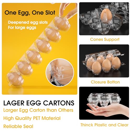 100 Pack Large Egg Cartons Cheap Bulk 6 Count Plastic Egg Containers 2x3 (100Pack-2x3 Large)
