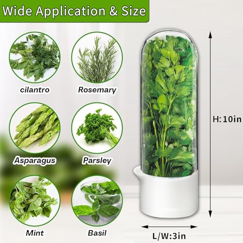 Herb Saver for Refrigerator (Herb Keeper(3Pack))
