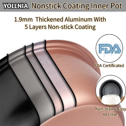 Commercial Rice Cooker & Food warmer