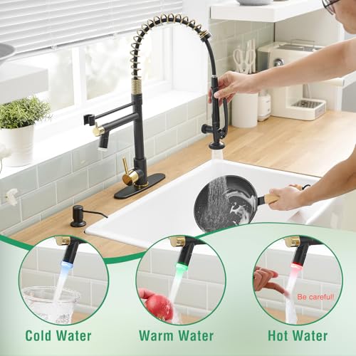 Commercial Kitchen Faucets with Pull Down Sprayer Matte Black&Gold (Black&Gold)