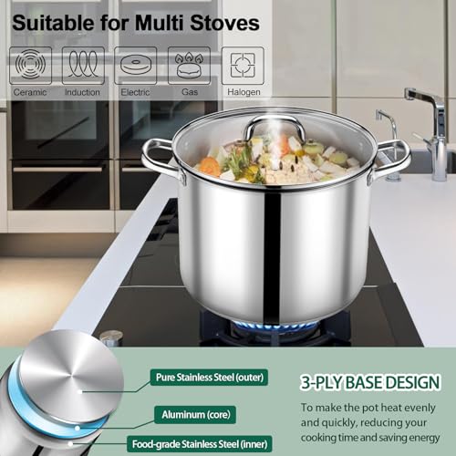 20 QT Stainless Steel Stock Pot with Lid (20 Quarts)