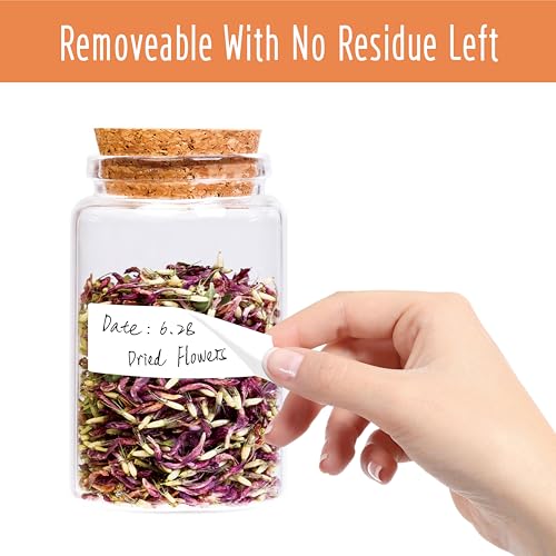 300 Removable Blank Food Labels (300-blank / 1” x 3”)