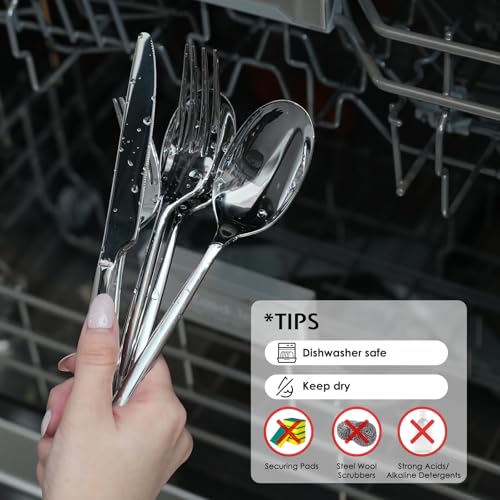 Silverware Set for 4 (20-Piece / Silver)