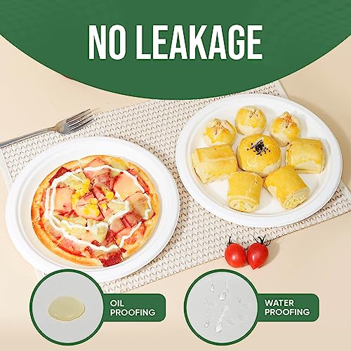 9 inch Paper Plate Heavy Duty Disposable (White / 9 IN)
