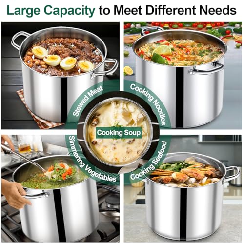 20 QT Stainless Steel Stock Pot with Lid (20 Quarts)