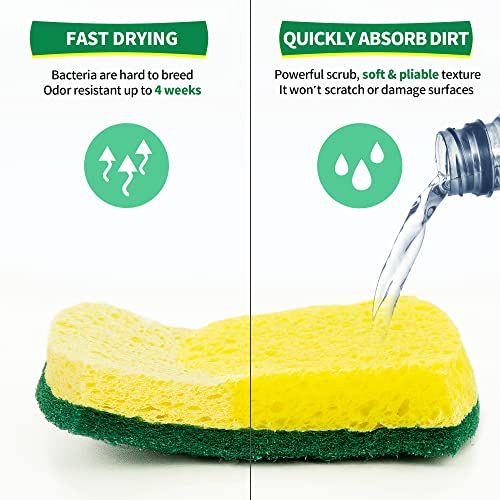 Heavy Duty Sponges (12 Count)