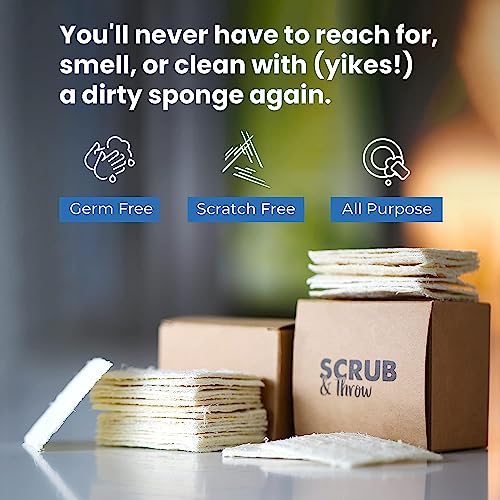 Loofah Scrub Sponge (90 Count)