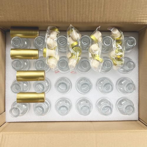 Clear Glass Bottles 3 oz (Clear-3oz-24pack)