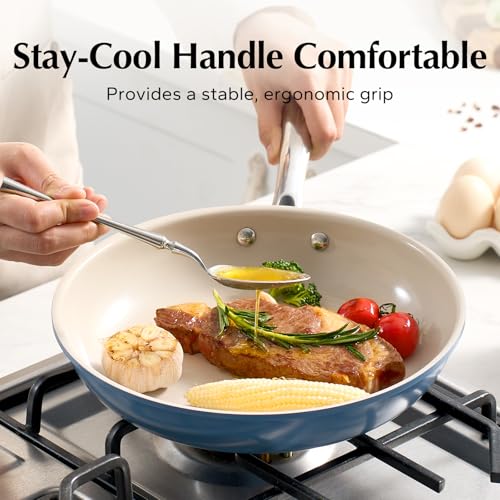 Nonstick Frying Pan Skillet (9.5 Inch / Blue)
