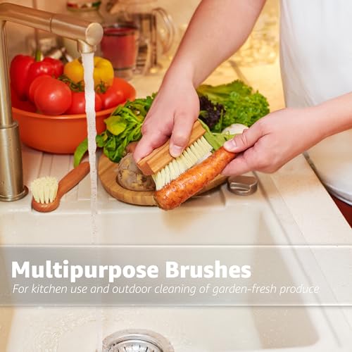 Vegetable Brush Set of 2 (2 count count)