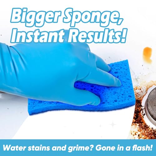 XL Sponges Kitchen 12Count (12 Count)