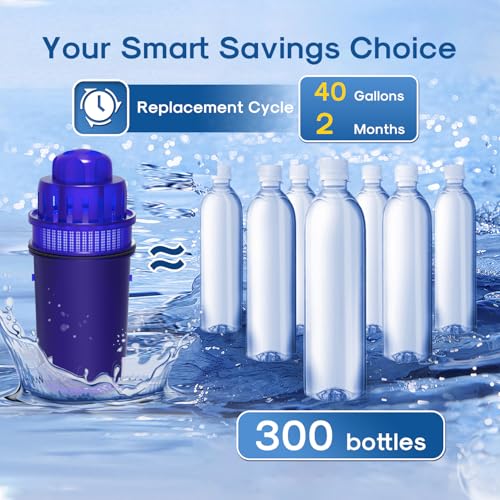 Pitcher Water Filter (6 Count (Pack of 1))