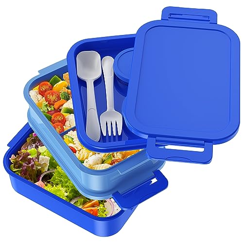 Adult Bento Lunch Box