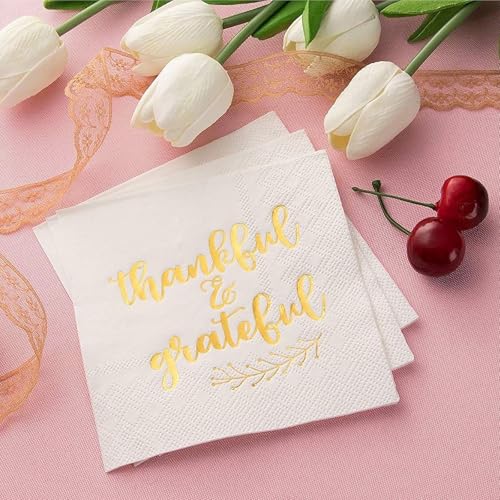 50 Pack Thanksgiving Cocktail Napkins Party Supplies Table Decorations (50 Pack)