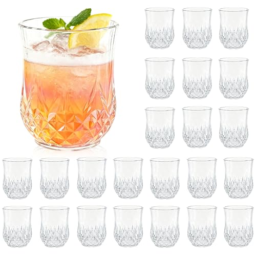 24 Pack Plastic Stemless Wine Glasses (12oz-transparent)