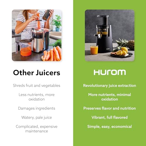 H AA Cold Press Juicer Machine (Matte Black)