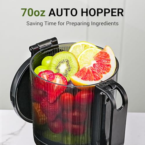 Cold Press Juicer (Black / 5.8")
