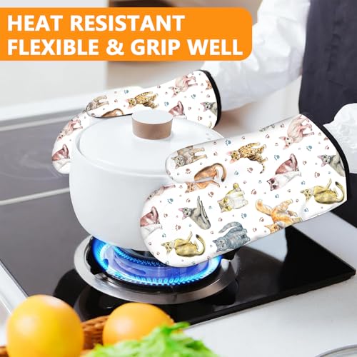Cute Cats Oven Mitts and Pot Holders Sets 4Pcs (Cute Cats)