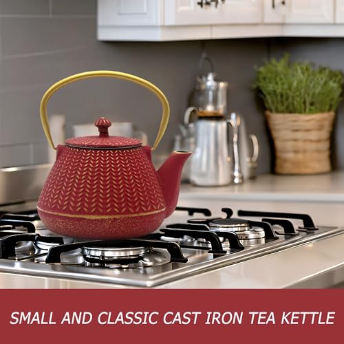 Small Cast Iron Tea Kettle for Stovetop Safe (Red, 1000ml/34oz)
