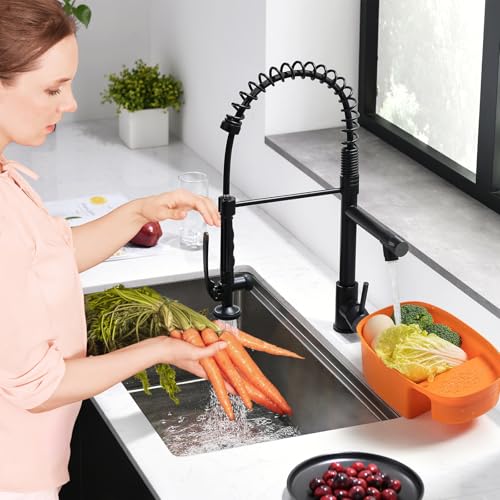 Black Kitchen Faucet (Matte Black)