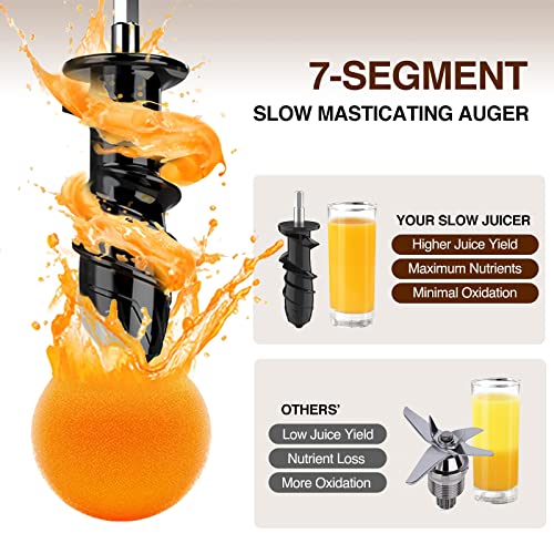 2-In-1 Masticating Fruit Vegetable Juicer Machine & Electric Coffee Grinder (Black)