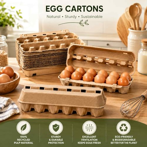 15 Pack Egg Cartons Cheap Bulk (12 Count, 15 Pack)