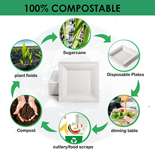 Compostable Square Paper Plates 10 Inch 100 Pack Disposable Plates (White / 10-inch 100 pack)
