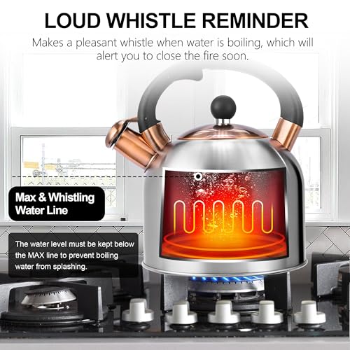 Tea Kettle 3.17QT Stainless Steel Whistling Tea Pot (Silver)