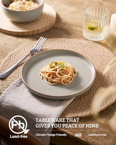 Meteor 24 Piece Stoneware Dinnerware Set (Matcha Green / Service for 8 (Standard Dinner Set))
