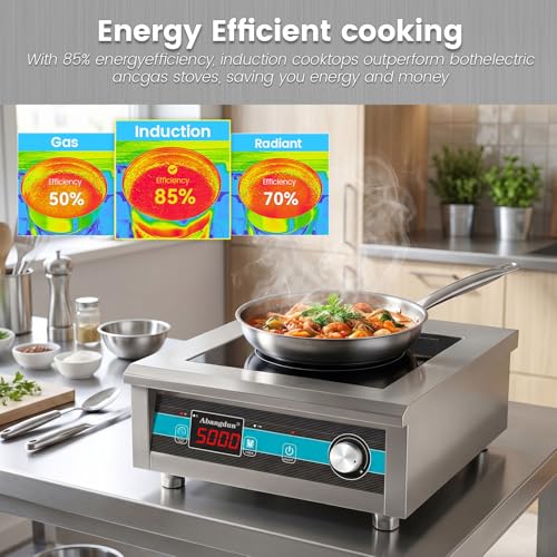Commercial Induction Cooktop