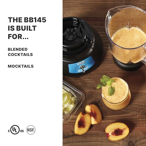 Commercial BevBasix Bar Blender (Copolyester Model)