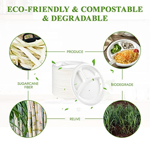 Compostable Paper Plates (3 Compartment 9 inch White)