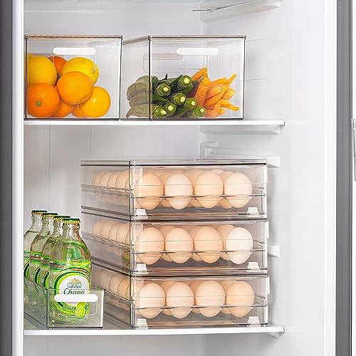 Egg Holder for Refrigerator (2Pack-Clear)