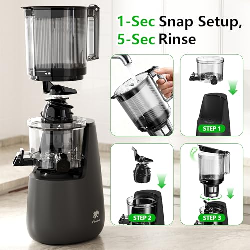 Cold Press Juicer (Grey)