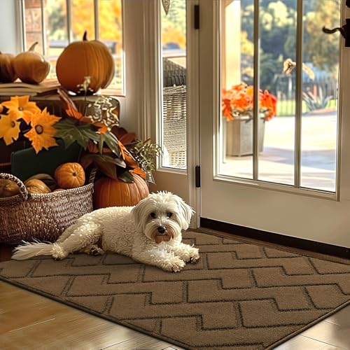 Indoor Door Mat (Dark Brown / 48" x 32" (Rectangular))