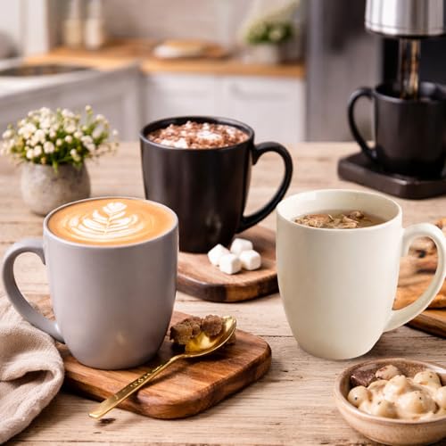 16 oz Coffee Mugs Set of 6 (Multi-Color2)