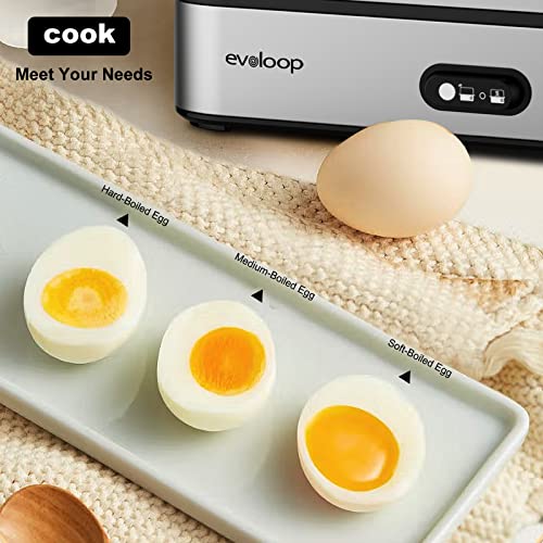 Rapid Egg Cooker Electric 6 Eggs Capacity (Silver)