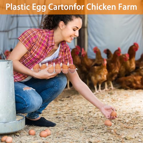 60Pack Jumbo Egg Cartons Duck Egg Cartons Extra Large Egg Containers (60Pack-2x6Grids)