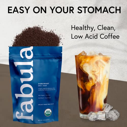Coffee Cold Brew Freshly Ground (12 Ounce (Pack of 1))