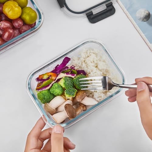 10 Pack 22 oz Glass Meal Prep Containers