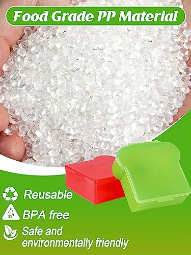 20 Oz Sandwich Containers for Kids (4 Colors)