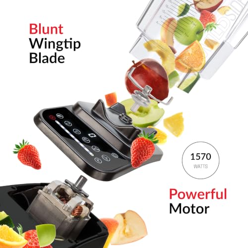 Designer 650S Series Blender (Stainless Steel)