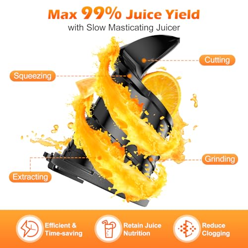 Juicer Machines with 5.8" Extra Large Feed Chute (sliver)