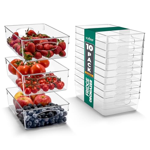 Fridge Organizers and Storage (XL / 10 Pack)