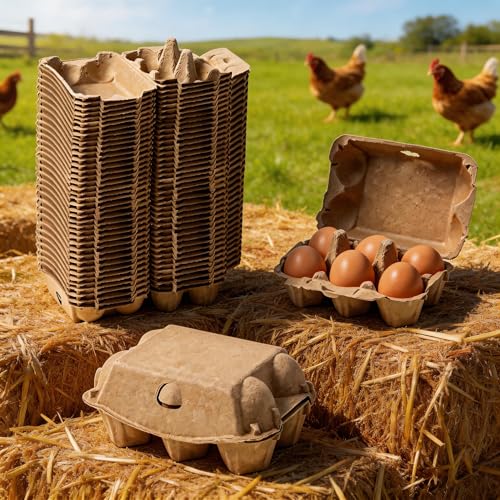 40 Pack Egg Cartons Cheap Bulk (40 Count)